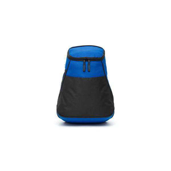 CG1-4093 COOLER CALIFORNIA TAHG