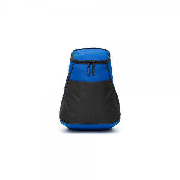 CG1-4093 COOLER CALIFORNIA TAHG