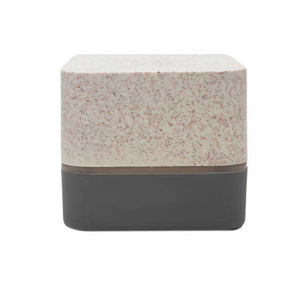 CG1-4450 PARLANTE WIRELESS EARTH