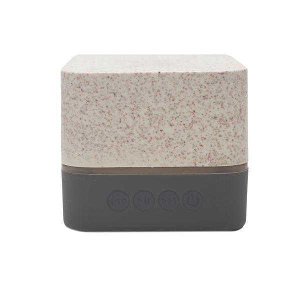 CG1-4450 PARLANTE WIRELESS EARTH