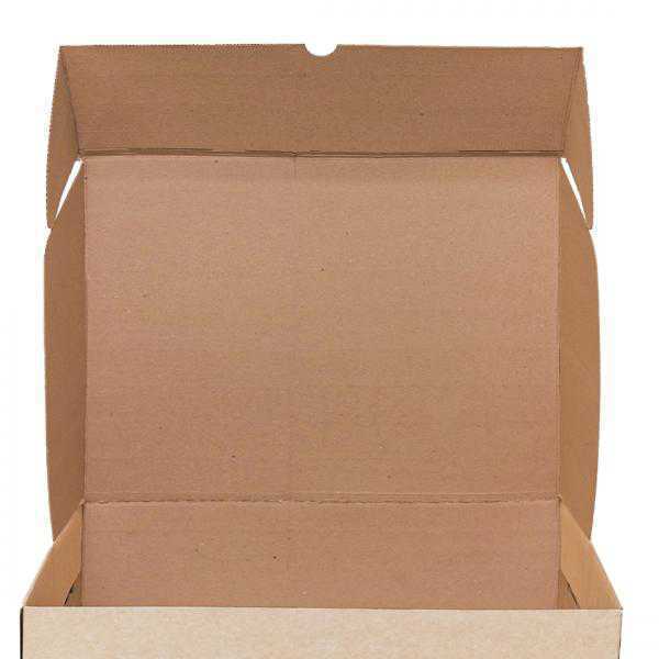 CG1-4938 CAJA EXTRA LARGE