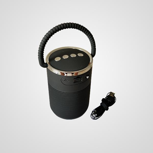 CG5-BS311 SPEAKER BLUETOOTH