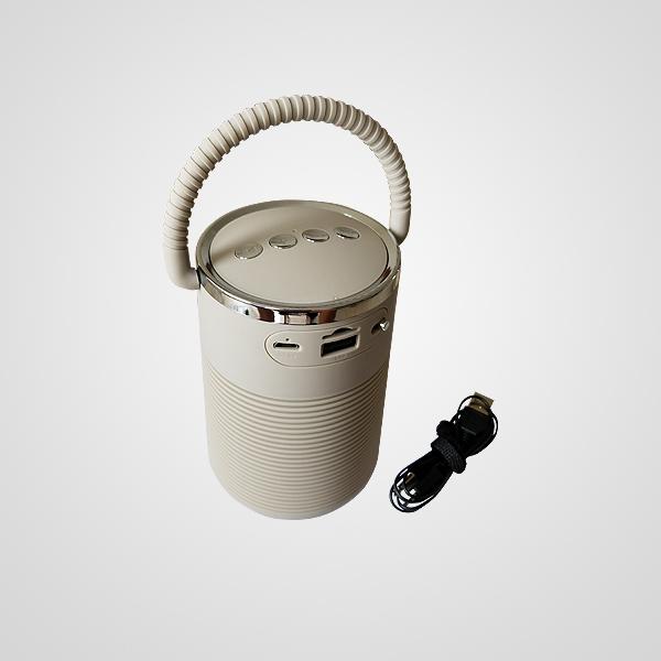 CG5-BS311 SPEAKER BLUETOOTH
