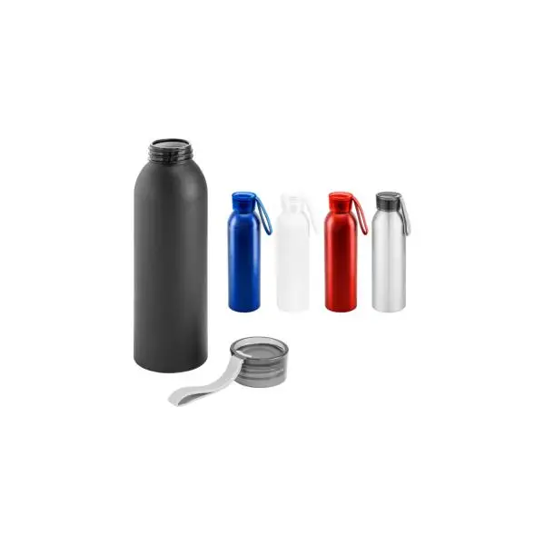CG3-P01.011 BOTELLA ALUMINIO ECO DAILY