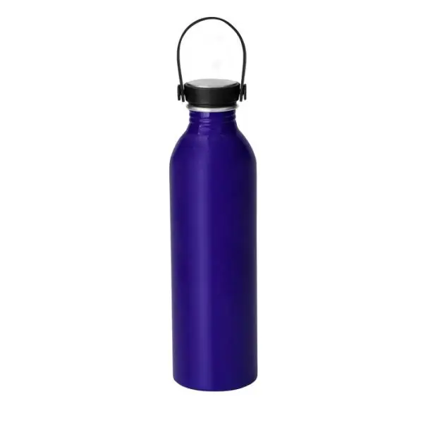 CG2-T704 BOTELLA SILLY