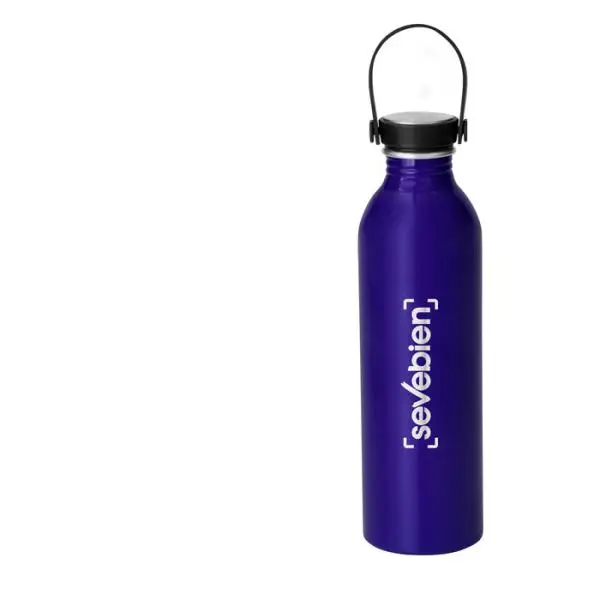 CG2-T704 BOTELLA SILLY